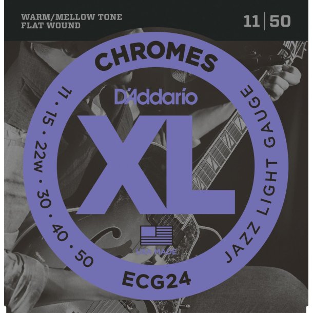 D'Addario ECG24